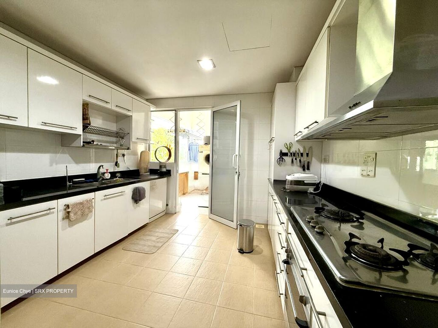 Chancery Park (D11), Condominium #492836121